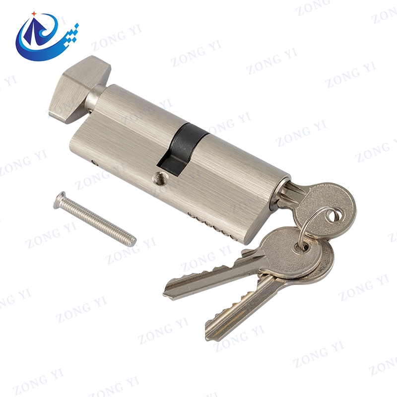 Profil Euro Thumbturn Mortise Brass Key Cylinder Lock